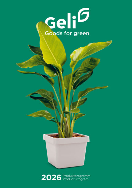 Katalog 2026