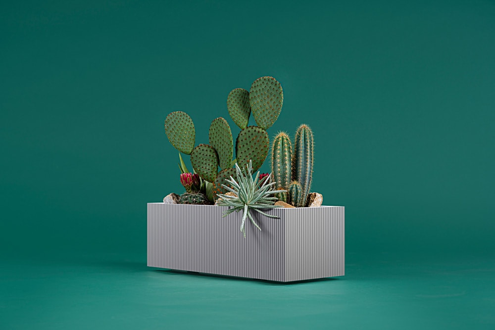 Blumenkasten Linea